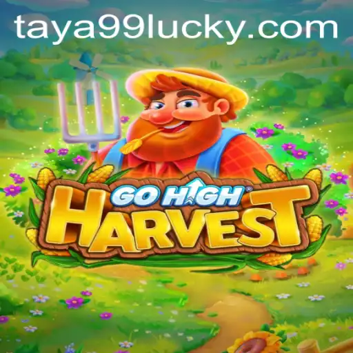 Taya99 Casino App